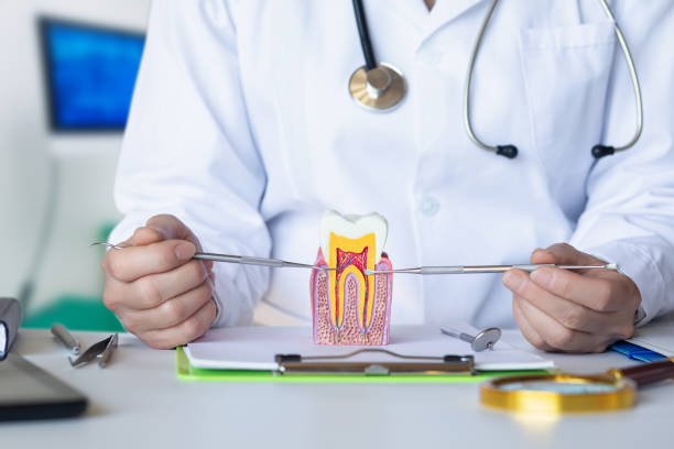 Best Emergency Root Canal Treatment in Adamsville, TN